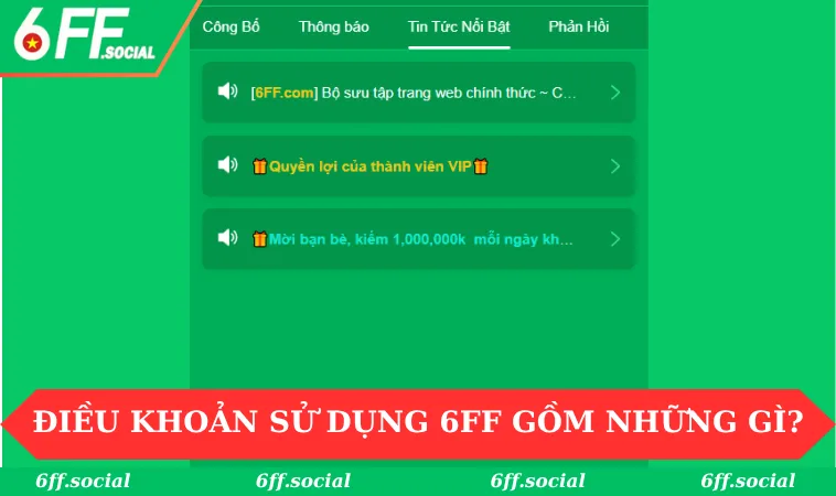 Điều khoản sử dụng 6FF gồm những gì?