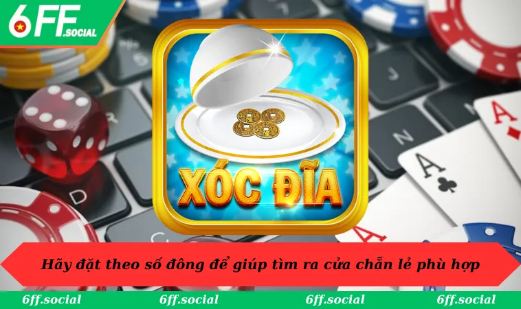 Hãy đặt theo số đông để giúp tìm ra cửa chẵn lẻ phù hợp