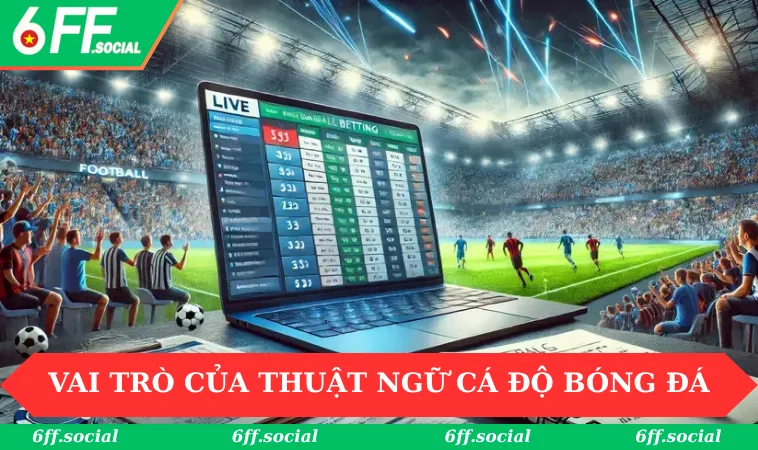 Vai trò của thuật ngữ cá độ bóng đá